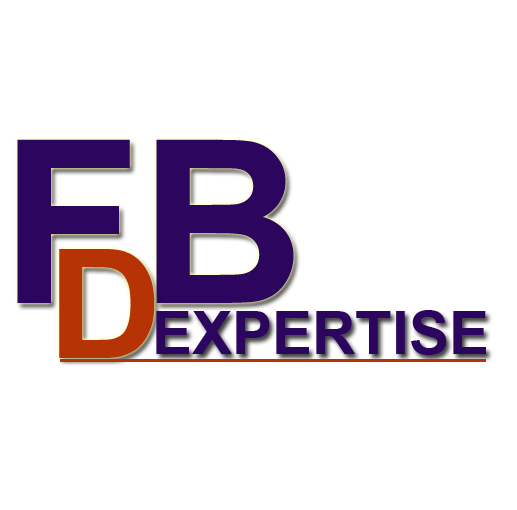 Logo FB DUAL EXPERTISE - Solutions informatiques pour PME