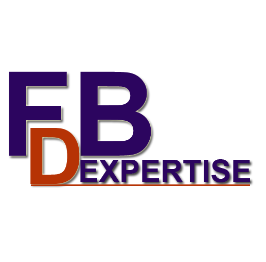 Logo FB DUAL EXPERTISE - Solutions informatiques pour PME